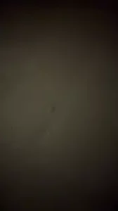 我的170大个母狗，大连的公务员，极度反差，多次被我兄弟轮操